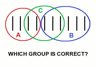 Which group is correct?